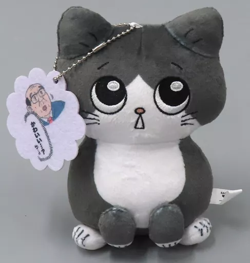 中古ぬいぐるみ プンちゃん プンちゃん超BIGぬいぐるみ 「ねこに