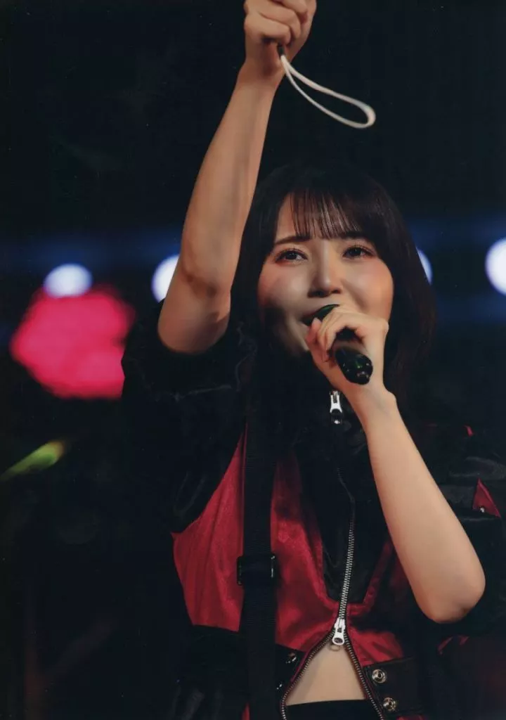 あかり パネル Miscellaneous goods Akari Kito (vertical / red / black
