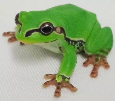 【完売品】【２体セット】GVA-BC デストロイア Frog Tree ソフビ 完売品】【2体セット】GVA-BC デストロイア Frog Tree ソフビ