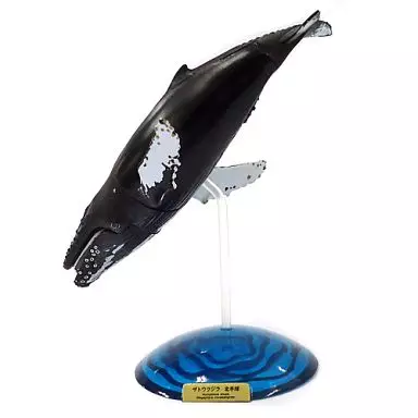 Trading figure [Secret] Humpback Whale Northern Hemisphere 