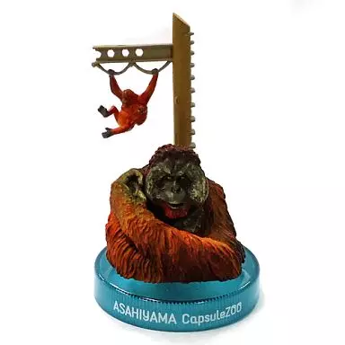 Trading figure 