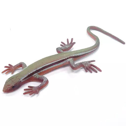 とかげページ Trading figure 01. Japanese five-lined skink' Genshoku Reptile