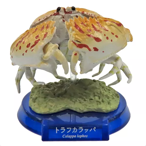 トレーディングフィギュア 3.トラフカラッパ 「AQUATALES 海の トレーディングフィギュア 3.トラフカラッパ 「AQUATALES 海の
