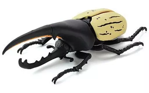 Hercules beetle Modeling Beetle Toy Hobby Suruga ya