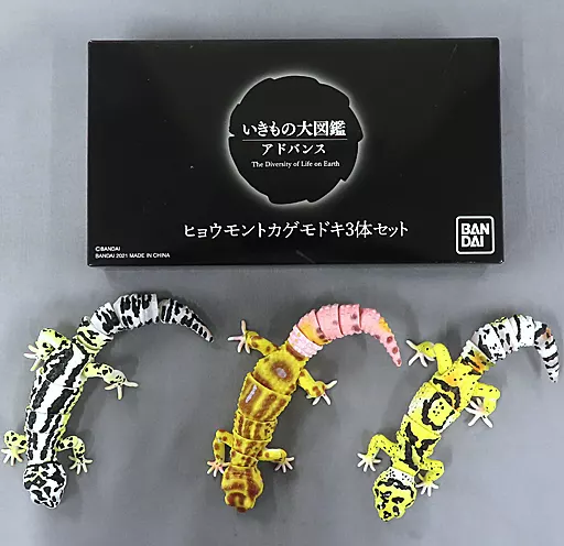 Trading figure [Initial Defects] Ikimono Daizukan Advanced common