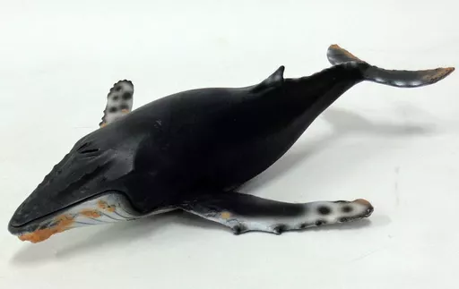 高速 割引 2025 東日本 Figure  whale Humpback その他