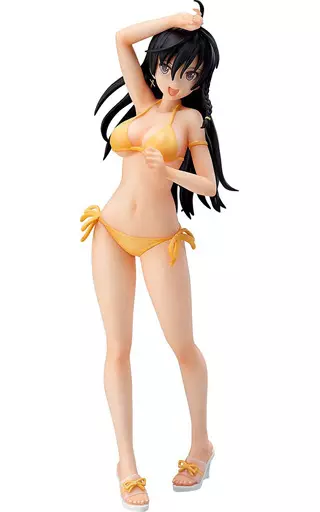 Figure Sonia Swimsuit Ver. Shining Resonance Shining Beach Figure Sonia Swimsuit Ver. Shining Resonance Shining Beach