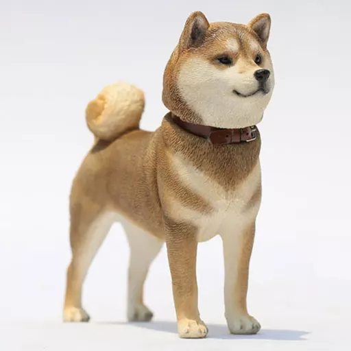 「 Shibaさま専用」1/4 Shiba Inu 002 (Brown x White) 1/6 Stacchu | Toy Hobby | SURUGA-YA.COM