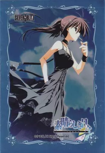 ☆希少☆絶版☆素晴らしき日々 水上由岐 スリーブ SILVER BLITZ きゃらスリーブコレクションマットシリーズ ケロQ・枕