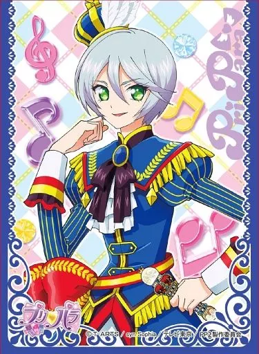 Character Actor Sleeve PriPara Shikyoin Hibiki (EN-151