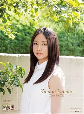 【未開封品】木村文乃 壁掛けカレンダー 2013 木村文乃2013年度日历| 杂货・小物件| SURUGA-YA.COM