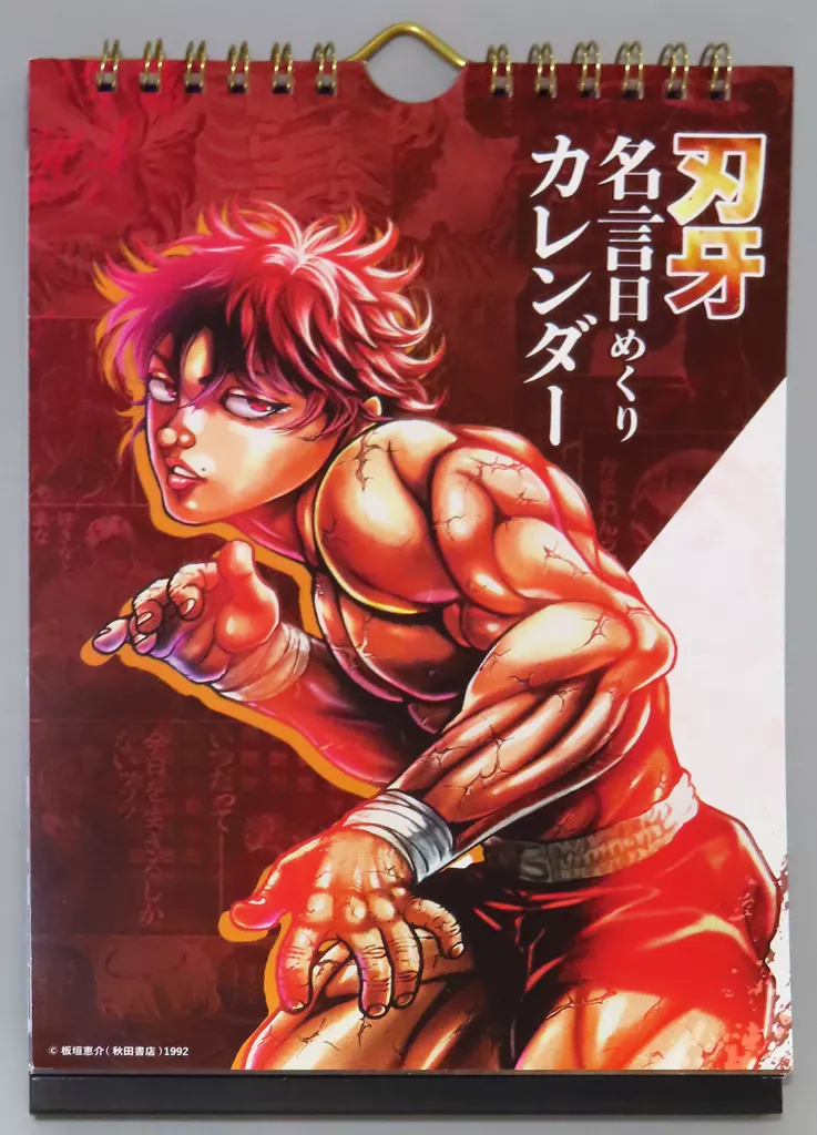バキ 日めくりカレンダー バキ 日めくりカレンダー カレンダー グラップラー刃牙 名言日めくり