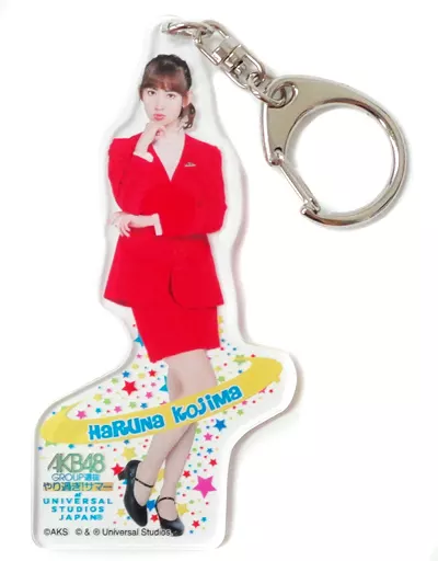 AKB48 小嶋陽菜 ペナント・キーホルダー・鏡 奥深