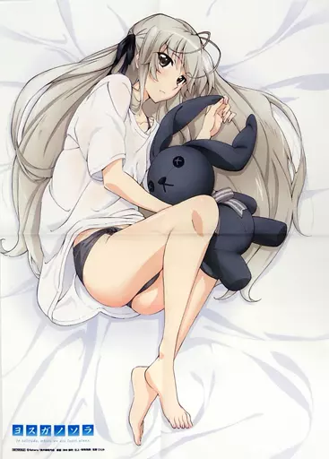 Drawing B3 Cloth Poster Kasugano Qiong 