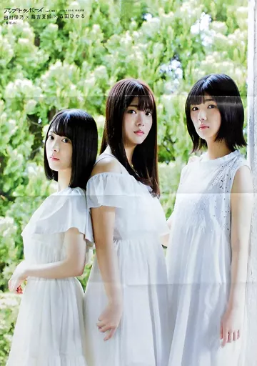 別売り可 日向坂、欅坂、櫻坂46 マフラータオル 商品詳細ページ | 櫻