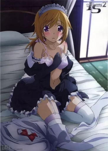 Poster [Damaged item] Anime drawing A3 clear poster Charlotte