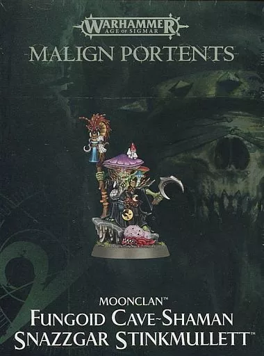 ウォーハンマー　ファンゴイド ケイブシャーマン スナズガー スティンクマレット Miniature game Fangoid Cave / Sherman rman, Suns Girls