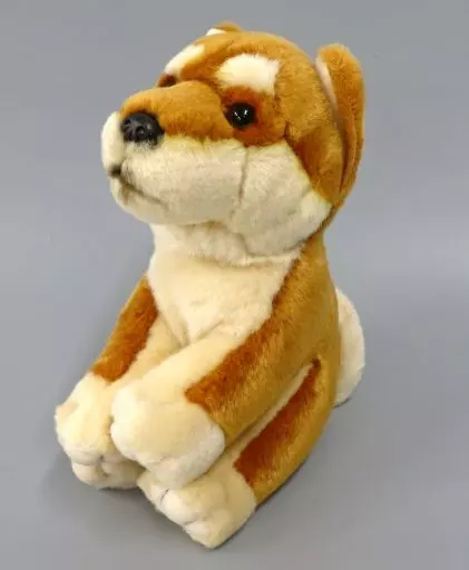 リアルドッグコレクション 柴犬（大）【未使用】 - メルカリ
