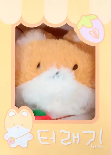 TEOLAEGI (Baekhyun) Plush toy 