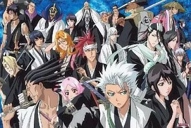 Gotei Jusantai' Bleach - Bleach -' Jigsaw Puzzle 1000 Pieces [1000