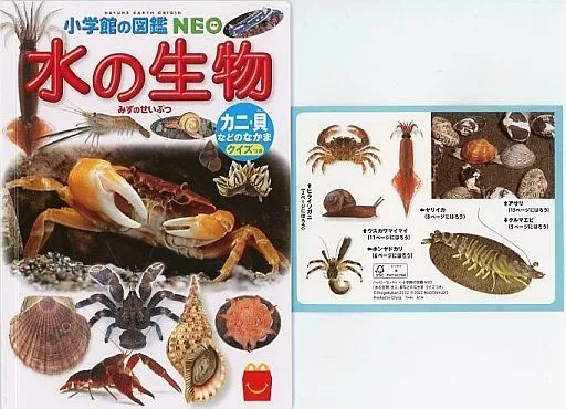 ハッピーセット 図鑑 水の生物/カニ・貝などのなかま クイズつき 「ほんのハッピーセット」 ハッピーセット | おもちゃホビー |  Suruga-ya.com