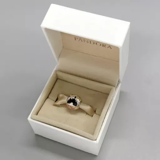 Castle & Crown Charm | Two-tone | Pandora SG