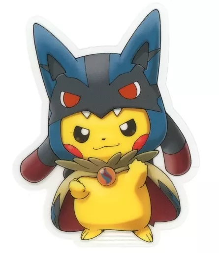 ポンチョを着たピカチュウ　Pikachu wearing a poncho PSA10] Pikachu PROMO 208/XY-P in poncho (Used) （11698638