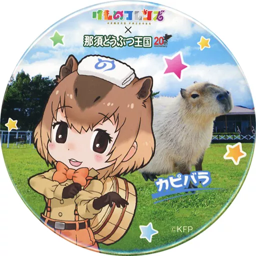 カピバラ ピンバッジ Brasil 万博限定 ブラジルパビリオン カピバラ 限定ピン バッジ - メルカリ