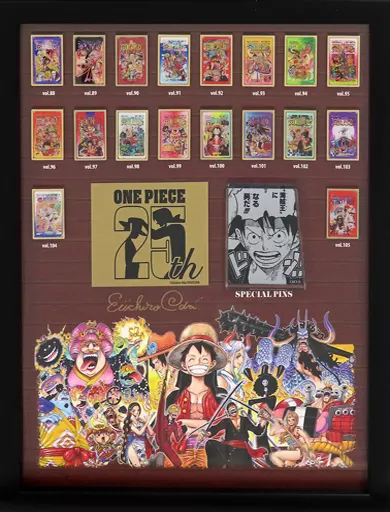 ワンピース　額装ピンバッジ　1000話　10 0巻　記念 ワンピース 額装ピンバッジ 1000話 10 0巻 記念 G103280811 - ピンズ