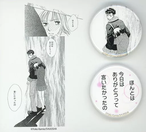 バッジ・ピンズ 牧野つくし＆道明寺司(今日はありがとうって) 台紙付き