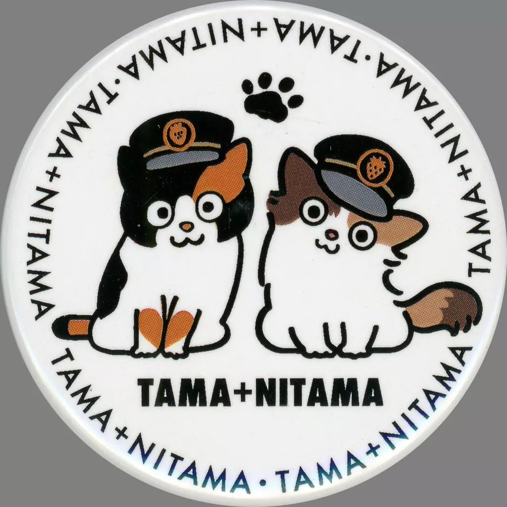 Badge Pins Tama & Futama Can Batch Wakayama Dentetsu Goods | Goods