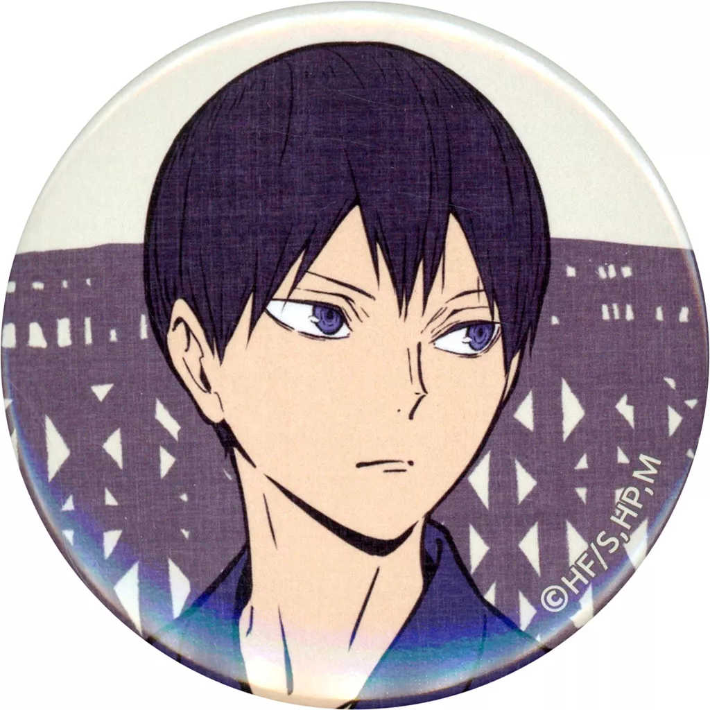 ハイキュー!! 布ポスター 排球四季景～夏ノ陣～ 影山飛雄 – IG Port ONLINE