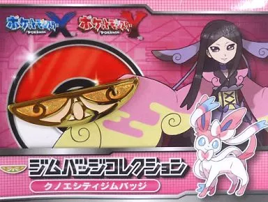 ✨【未使用】ジムバッヂコレクション クノエシティ ポケモン ✨【最安値】 バッジ・ピンズ(キャラクター) クノエシティ ジムバッジ