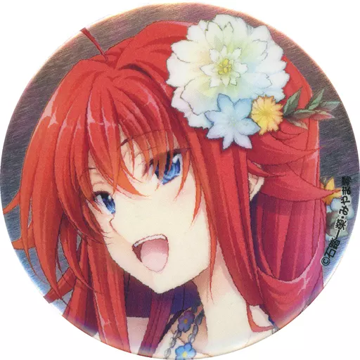 その他 RIAS Rias Gremaud Lee (high school DxD) 