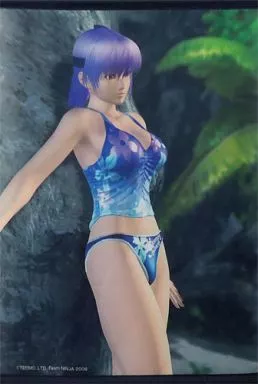 Tapestry Ayane B2 Tapestry 「 DEAD OR ALIVE Xtreme2 」 | Goods