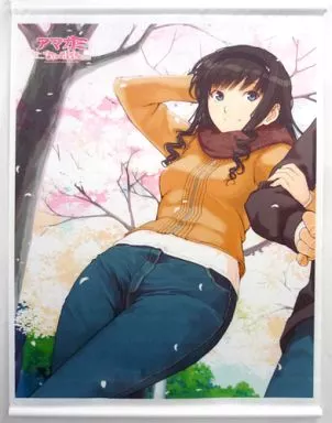 アマガミ 森島はるか あにまる限定 等身大タペストリー 森島はるか 「アマガミ」より、B2タペストリー