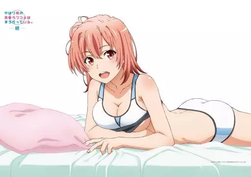 由比ヶ浜結衣 ロングタペストリー  やはり俺の青春ラブコメはまちがっている。続 41bA2XbX4wL.jpg_BO30,255,255,
