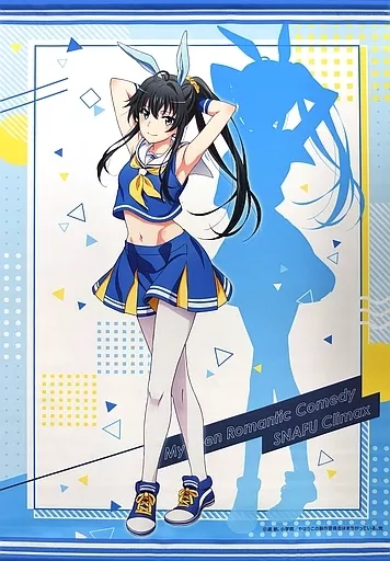 タペストリー 雪ノ下雪乃(チアバニーver.) 等身大タペストリー