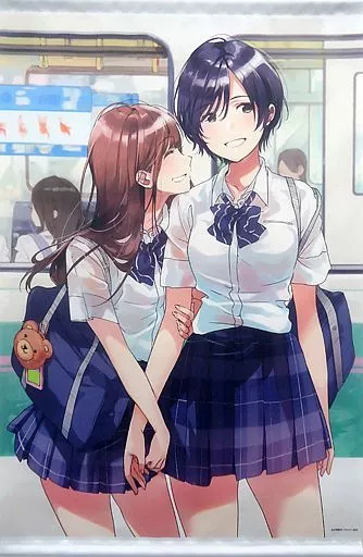 タペストリー [単品] フライイラスト B2タペストリー