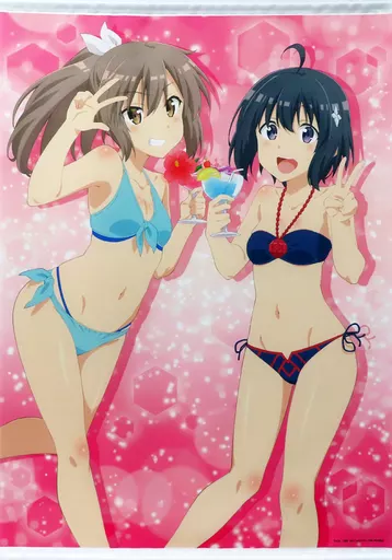 タペストリー メイプル＆サリー B1タペストリー 「痛いのは嫌