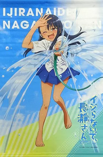 Tapestry Nagatoro Hayase (drawing ver) Tapestry 