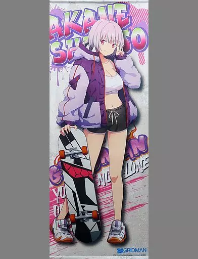 ラス1SSSS.GRIDMAN ヴィレッジヴァンガード　新条アカネ　タペストリー グリッドマン 新条アカネ タペストリー ヴィレッジヴァンガード