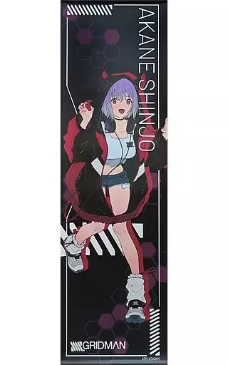 GRIDMAN DYNAZENON 新条アカネ 推しくじ