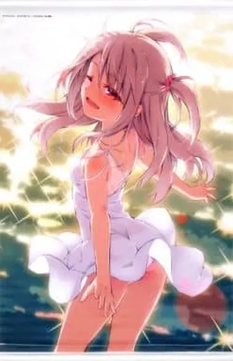 Fate/kaleid liner Prisma illya Magical Festival