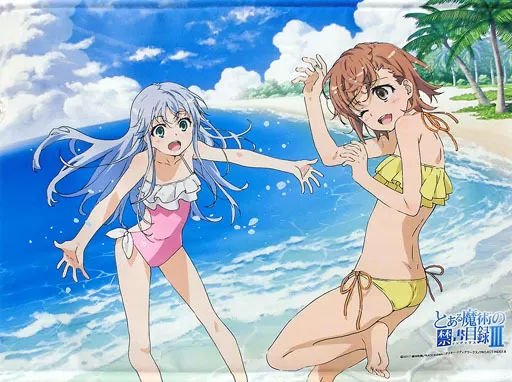 Large tapestries Index & Beauty (swimwear) B2 Tapestry A Certain