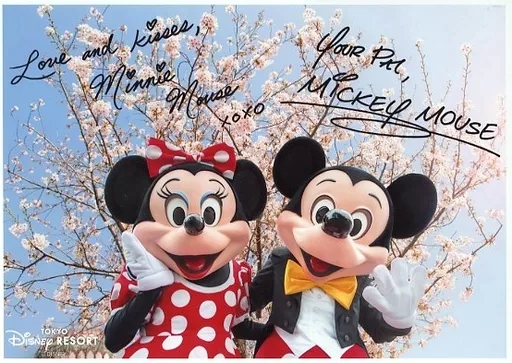 ミッキー プラスチックカード Japan Disney Card Club 2019 Mickey Mouse 90th Anniversary