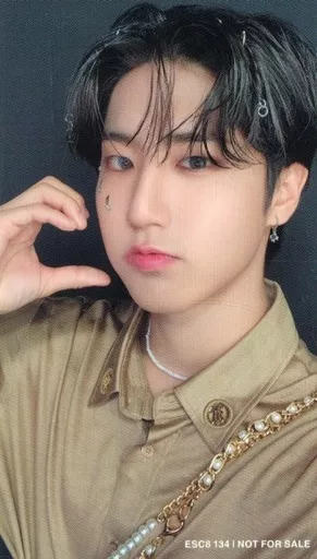 Character card [Single Item] Han (Stray Kids) / one hand heart