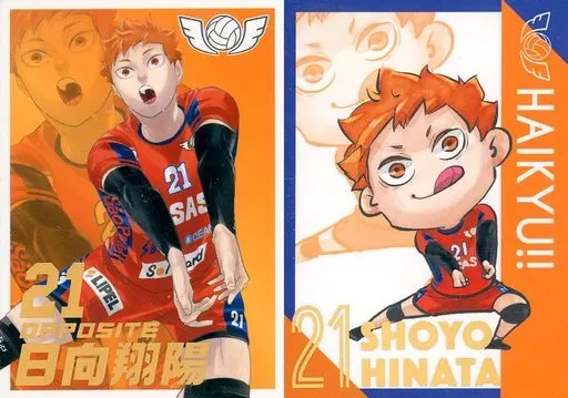 Character card HINATA SHOYO 