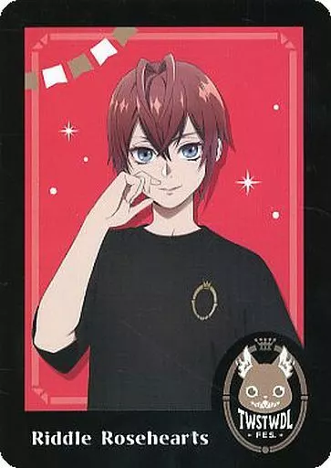 ディズニー Twisted Wonderland Fes 2023 Aitai☆Kuji Twisted Wonderland 2023 Fes Event Aniplex DVD
