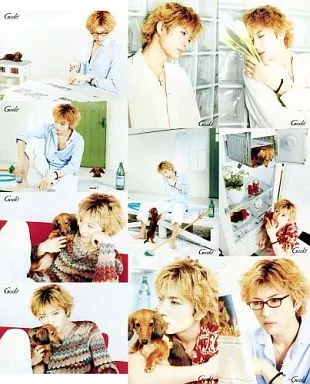 Postcard (Male) Gackt Postcard Set (10-Pack Set) 